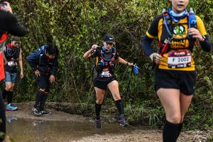 BIB: 2002, 253
                            <button type="button" onclick="openModal(6965637)" class="btn btn-primary btn-sm float-right btn-popup" data-toggle="modal" data-target=".modal-high-quality">
                        <i class="fas fa-shopping-cart"></i> Add to Cart
                    </button>
                                            <button type="button" onclick="isThisMe(6965637, true)" class="btn btn-success btn-sm float-right btn-popup btn-isme hidden" data-toggle="tooltip" data-placement="bottom" title="นี่คือรูปของคุณใช่ไหม คลิกที่นี่เพื่อเอาเข้าอัลบั้ม">
                        <i class="fas fa-plus"></i> Add to album
                    </button>
                    <button type="button" onclick="isThisMe(6965637, false)" class="btn btn-warning btn-sm float-right btn-popup btn-isnotme hidden">
                        <i class="fas fa-ban"></i> Remove from album
                    </button>